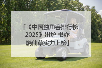 《中国独角兽排行榜2025》出炉 书亦烧仙草实力上榜