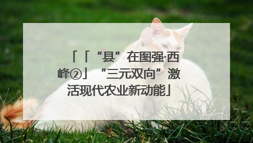 「“县”在图强·西峰②」“三元双向”激活现代农业新动能
