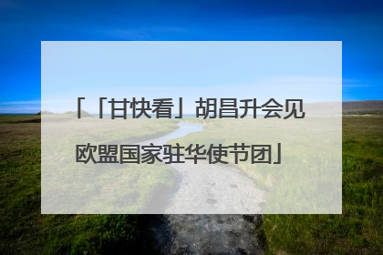 「甘快看」胡昌升会见欧盟国家驻华使节团
