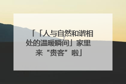 「人与自然和谐相处的温暖瞬间」家里来“贵客”啦