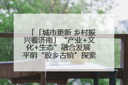 「城市更新 乡村振兴看济南」“产业+文化+生态”融合发展 平阴“胶乡古镇”探索振兴路径成效显著