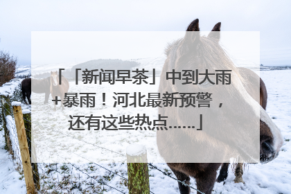 「新闻早茶」中到大雨+暴雨！河北最新预警，还有这些热点……