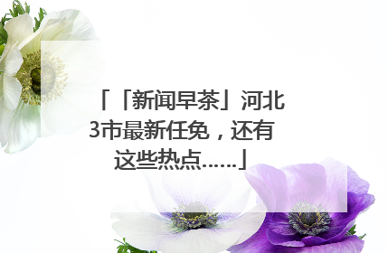「新闻早茶」河北3市最新任免，还有这些热点……
