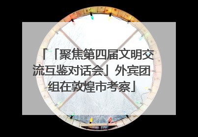 「聚焦第四届文明交流互鉴对话会」外宾团组在敦煌市考察