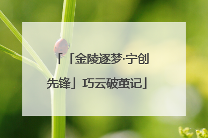 「金陵逐梦·宁创先锋」巧云破茧记