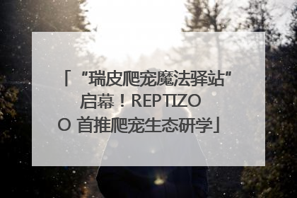 “瑞皮爬宠魔法驿站” 启幕！REPTIZOO 首推爬宠生态研学