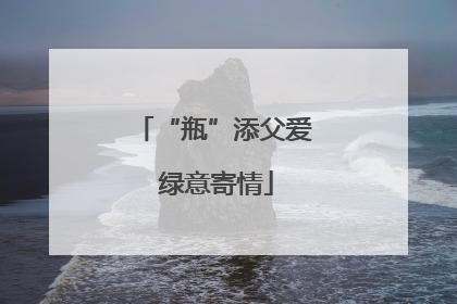 “瓶”添父爱 绿意寄情
