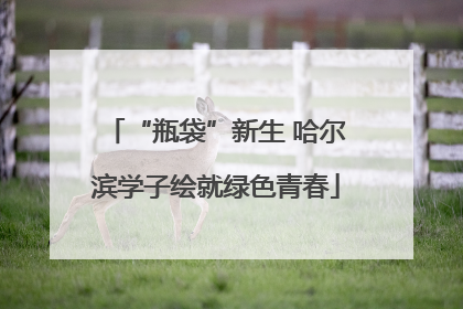 “瓶袋”新生 哈尔滨学子绘就绿色青春