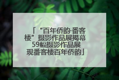 “百年侨韵·番客楼”摄影作品展揭幕 59幅摄影作品展现番客楼百年侨韵