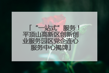 “一站式”服务！平顶山高新区创新创业服务园区党企连心服务中心揭牌