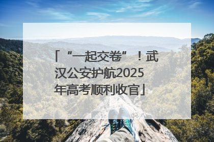 “一起交卷”！武汉公安护航2025年高考顺利收官