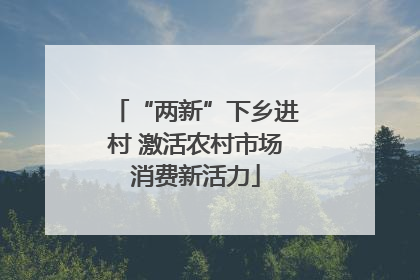 “两新”下乡进村 激活农村市场消费新活力