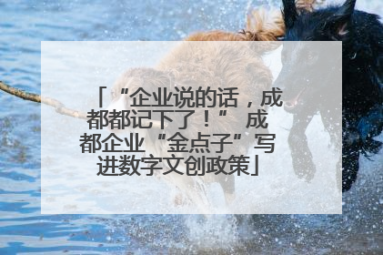 “企业说的话，成都都记下了！” 成都企业“金点子”写进数字文创政策