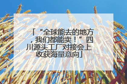 “全球能去的地方，我们都能卖！”四川源头工厂对接会上收获海量意向