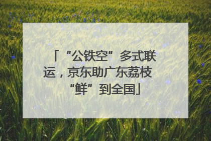 “公铁空”多式联运，京东助广东荔枝“鲜”到全国