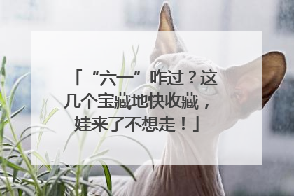 “六一”咋过？这几个宝藏地快收藏，娃来了不想走！
