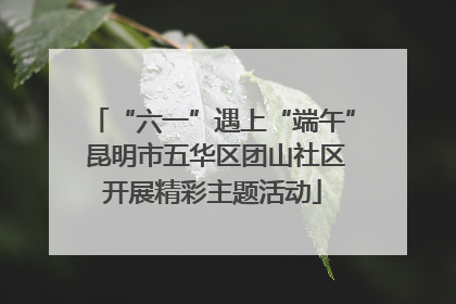 “六一”遇上“端午” 昆明市五华区团山社区开展精彩主题活动