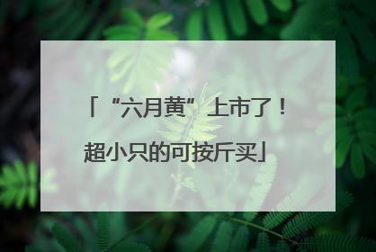 “六月黄”上市了！超小只的可按斤买