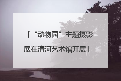 “动物园”主题摄影展在清河艺术馆开展