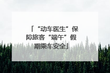 “动车医生”保障旅客“端午”假期乘车安全