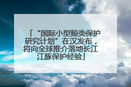 “国际小型鲸类保护研究计划”在汉发布，将向全球推介落地长江江豚保护经验