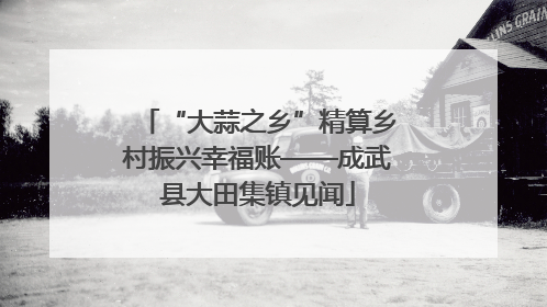 “大蒜之乡”精算乡村振兴幸福账——成武县大田集镇见闻