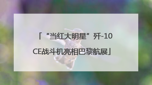 “当红大明星”歼-10CE战斗机亮相巴黎航展