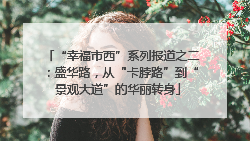 “幸福市西”系列报道之二：盛华路，从“卡脖路”到“景观大道”的华丽转身