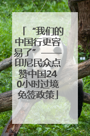“我们的中国行更容易了”——印尼民众点赞中国240小时过境免签政策
