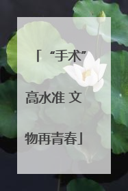 “手术”高水准 文物再青春