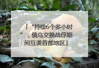 “持续6个多小时”，俄乌交换战俘期间互袭首都地区