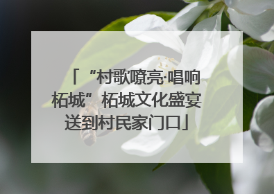 “村歌嘹亮·唱响柘城”柘城文化盛宴送到村民家门口