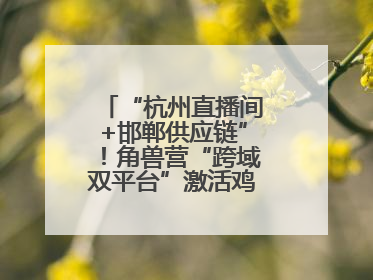 “杭州直播间+邯郸供应链”！角兽营“跨域双平台”激活鸡泽产业新动能