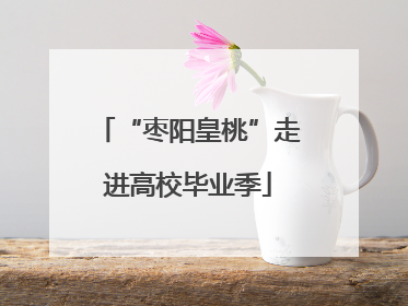 “枣阳皇桃”走进高校毕业季