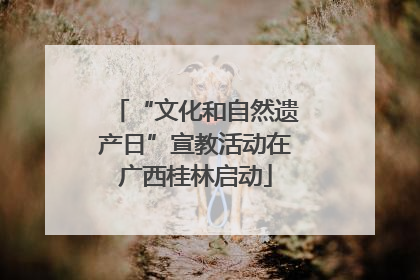 “文化和自然遗产日”宣教活动在广西桂林启动