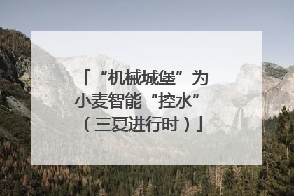 “机械城堡”为小麦智能“控水”（三夏进行时）