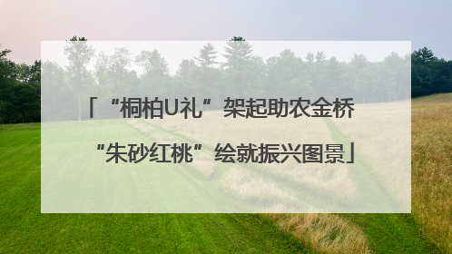 “桐柏U礼”架起助农金桥 “朱砂红桃”绘就振兴图景