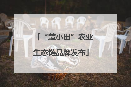 “楚小田”农业生态链品牌发布