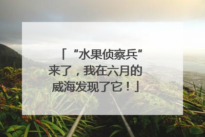 “水果侦察兵”来了，我在六月的威海发现了它！