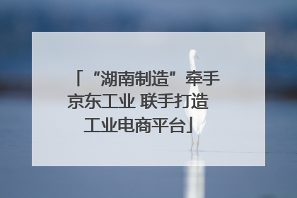“湖南制造”牵手京东工业 联手打造工业电商平台