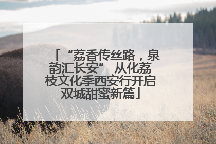 “荔香传丝路，泉韵汇长安” 从化荔枝文化季西安行开启双城甜蜜新篇