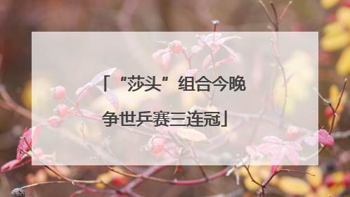 “莎头”组合今晚争世乒赛三连冠