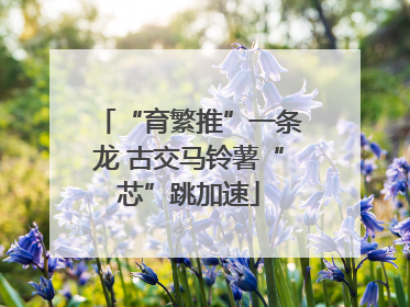 “育繁推”一条龙 古交马铃薯“芯”跳加速