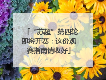 “苏超”第四轮即将开赛：这份观赛指南请收好