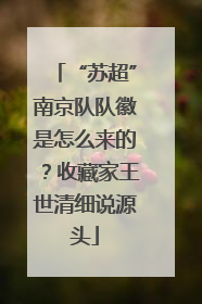 “苏超”南京队队徽是怎么来的？收藏家王世清细说源头