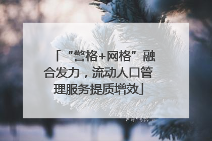 “警格+网格”融合发力，流动人口管理服务提质增效