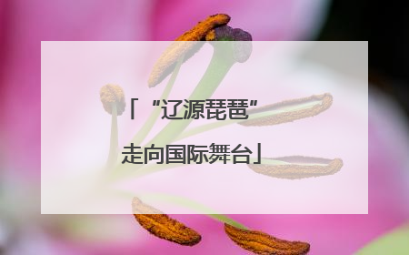 “辽源琵琶” 走向国际舞台