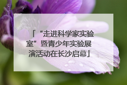 “走进科学家实验室”暨青少年实验展演活动在长沙启幕