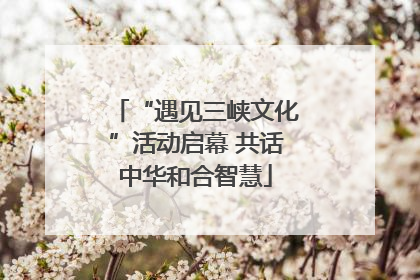 “遇见三峡文化”活动启幕 共话中华和合智慧