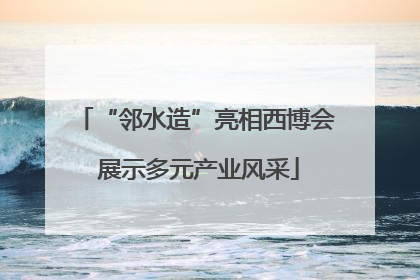 “邻水造”亮相西博会 展示多元产业风采